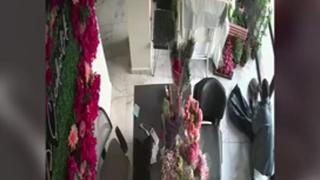 Çiçekçiye girdi, dükkandaki kediyi çaldı