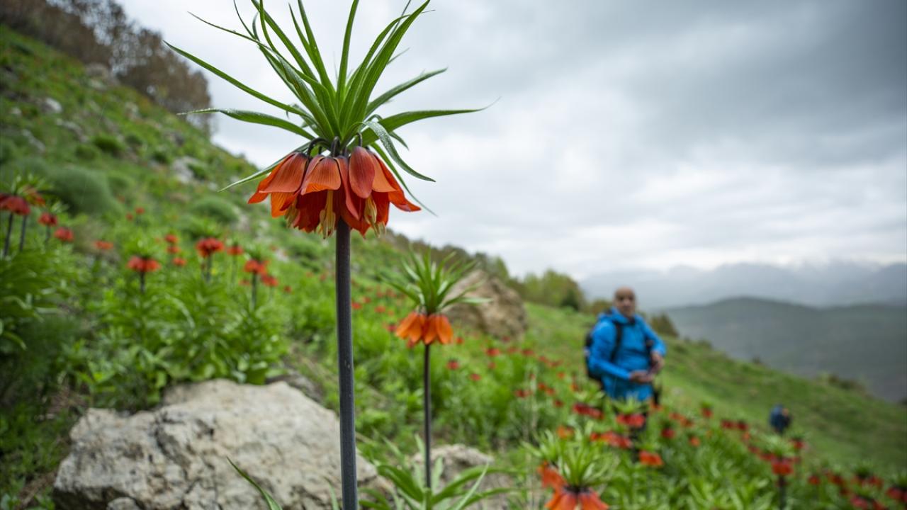 "Gördüğüm endemik bitkiler beni çok etkiledi"