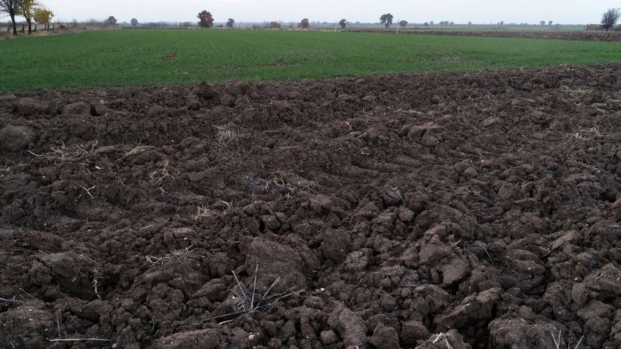 "Çok şükür ki kuraklık ihtimalinin Trakya için ortadan kalktığını düşünüyorum"