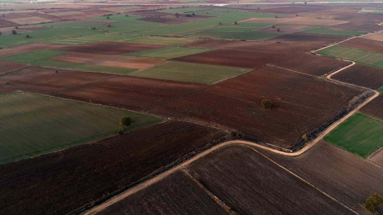 "Bahar yağmurları olmasaydı tarım için sıkıntılı bir yıl olacaktı"