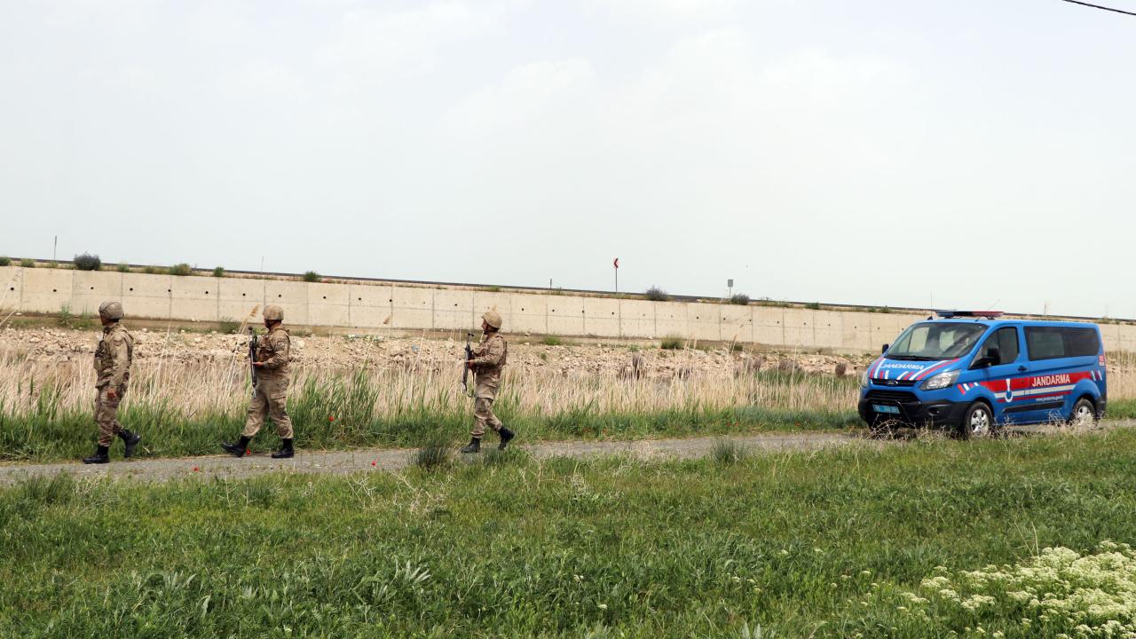 Van Gölü Havzası'ndaki dikkuyrukları jandarma koruyor