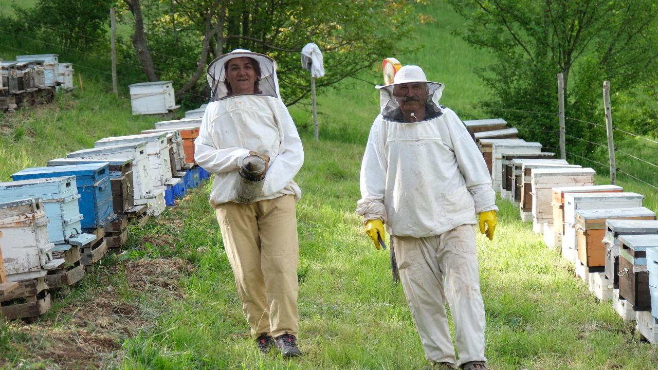 "Yıllık 500 kilogram bal satıyoruz, organik bal üretmeye çalışıyoruz"
