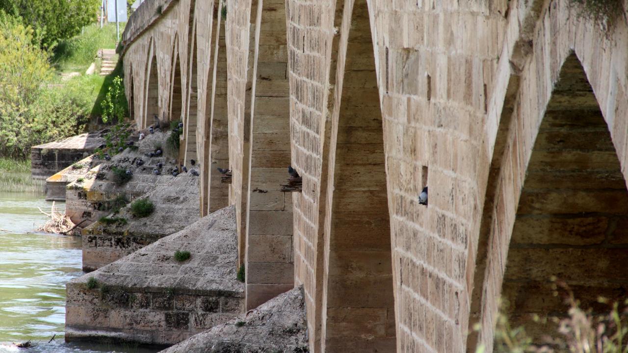 “Delikleri, bazıları kuş yuvası olarak yapıldığını sanıyor”