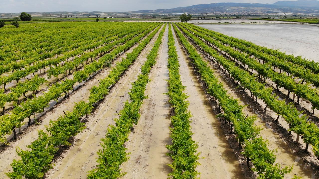 10 bin dönümlük arazi sel sularından zarar gördü