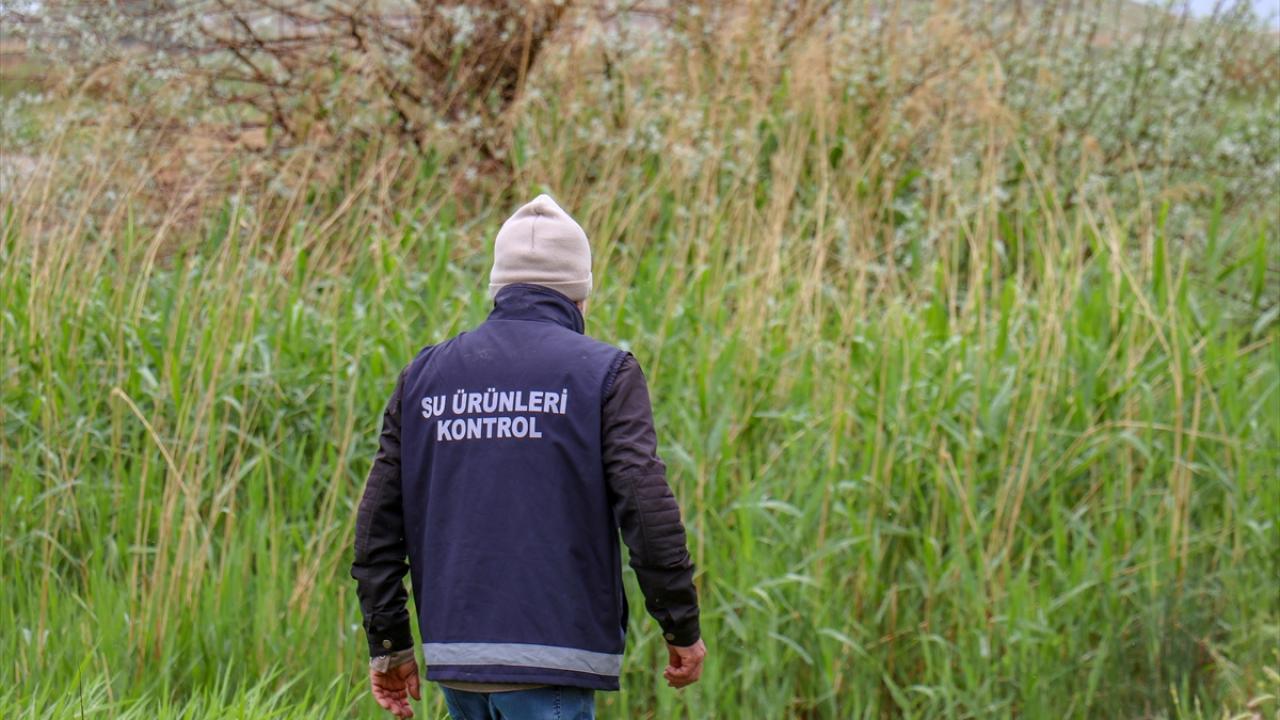 "10 tonu canlı 40 ton balık ele geçirildi"