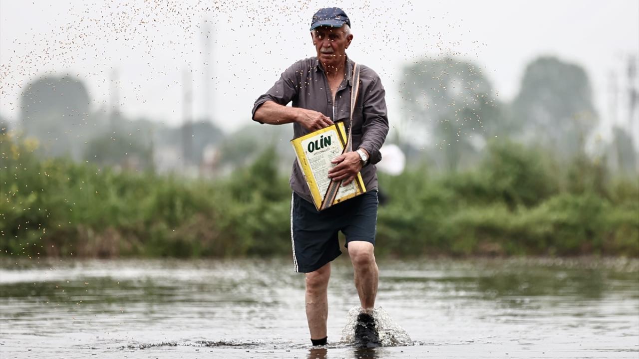 "Bizler toprağa girmeden, çamura girmeden iyileşemeyiz"