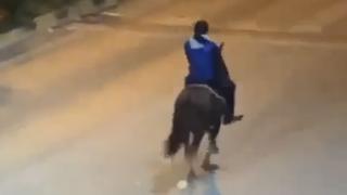 Bartın'da trafiğe çıktığı atıyla yere düştü