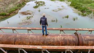 İnci kefalini kaçak avlayan 51 kişiye 390 bin lira ceza