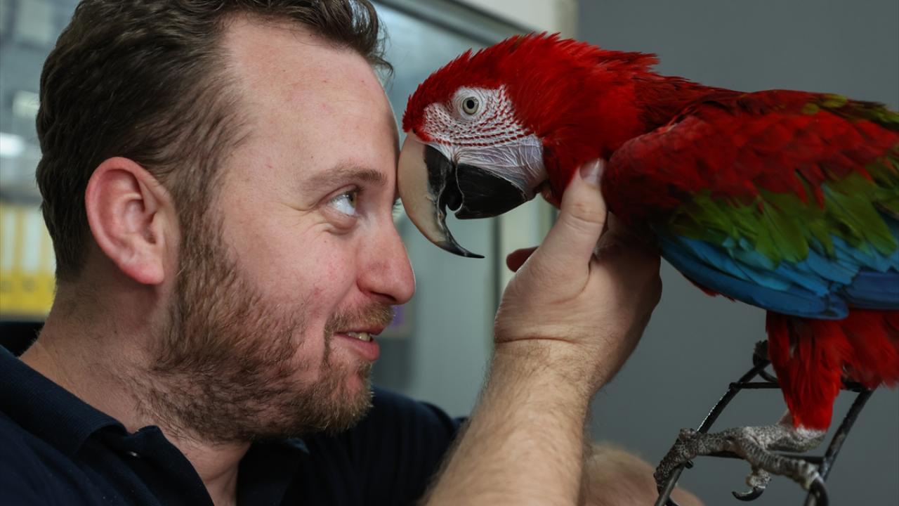 Evinden iş yerine götürdüğü papağan esnafın neşe kaynağı oldu