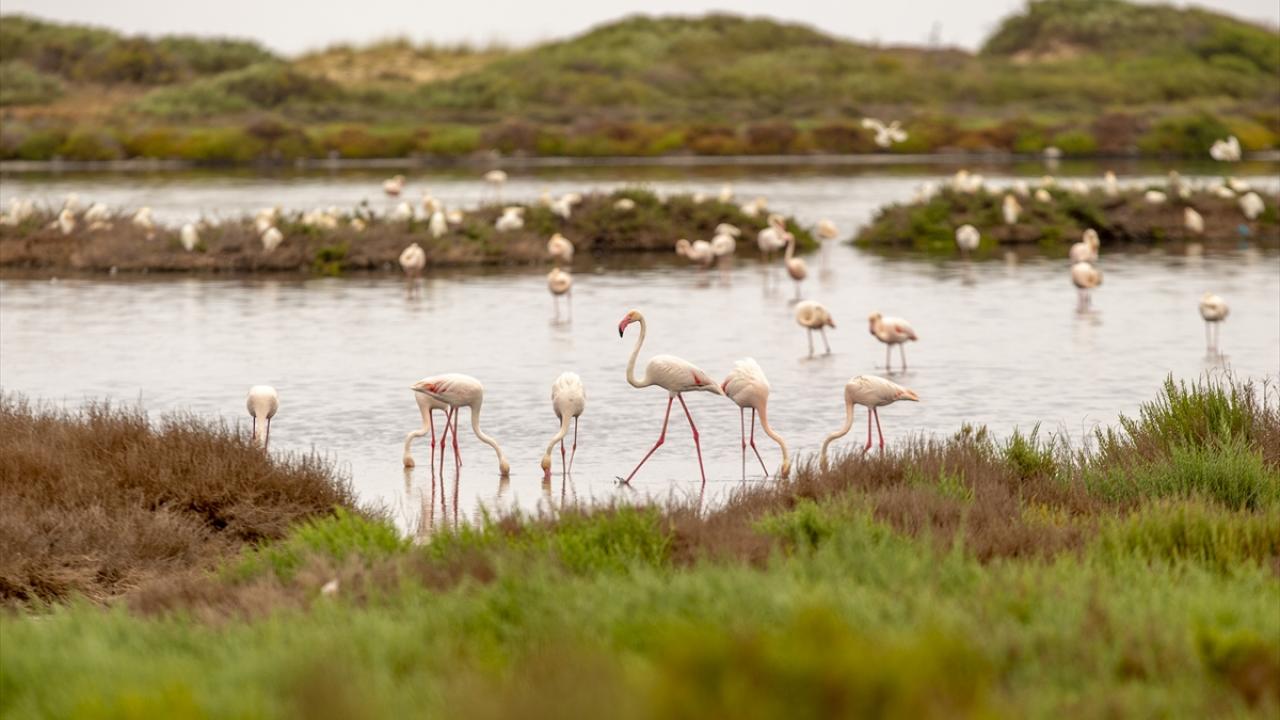 “Kurba Havzası’nın tarihi eski çağalara dayanıyor”