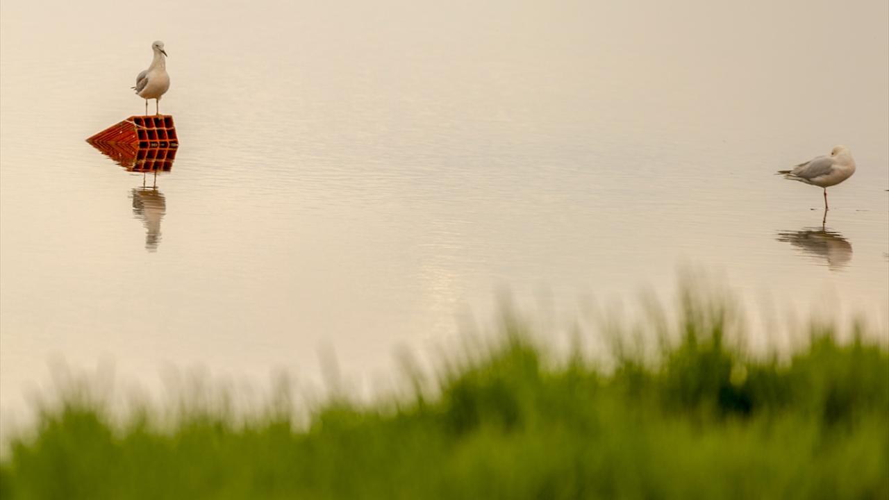 “Kurba Havzası biyolojik çeşitliliği ile önemli sulak alanlardan biri”