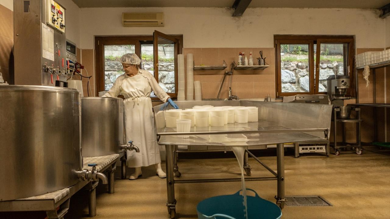 İtalya`da Dünya Süt Günü