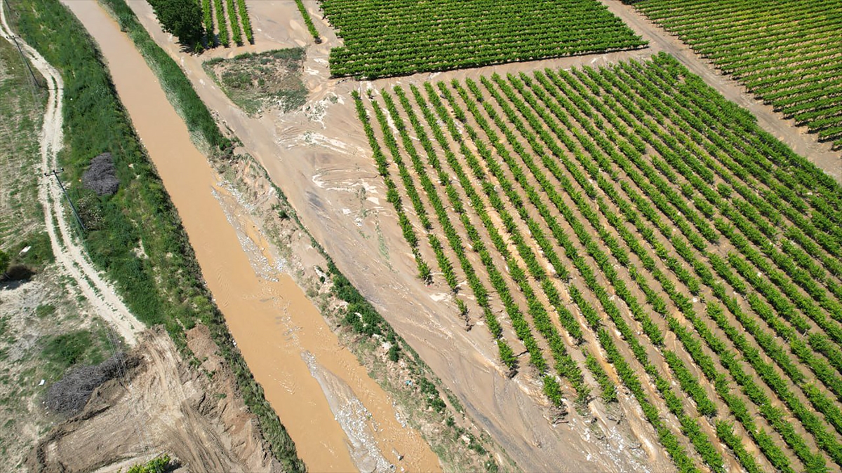 Manisa`daki tarım alanlarında inceleme sürüyor