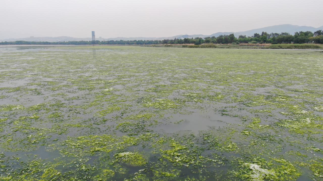 “Bilimi kullanmazsanız değil 3 yıl, 33 yıl sonra bile yüzemezsiniz”
