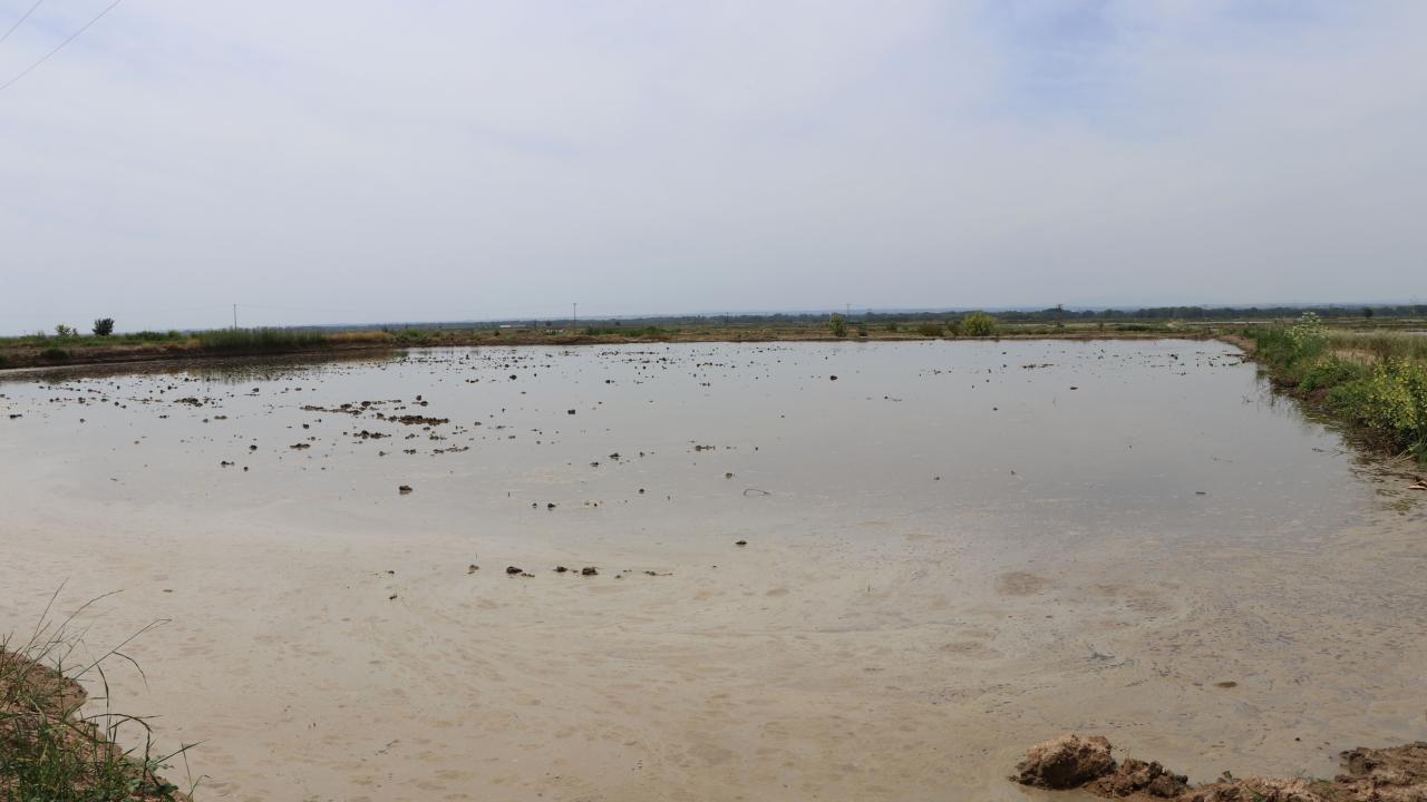 "İkinci ürünü ekebilecekleri bir düzen oluşması lazım"