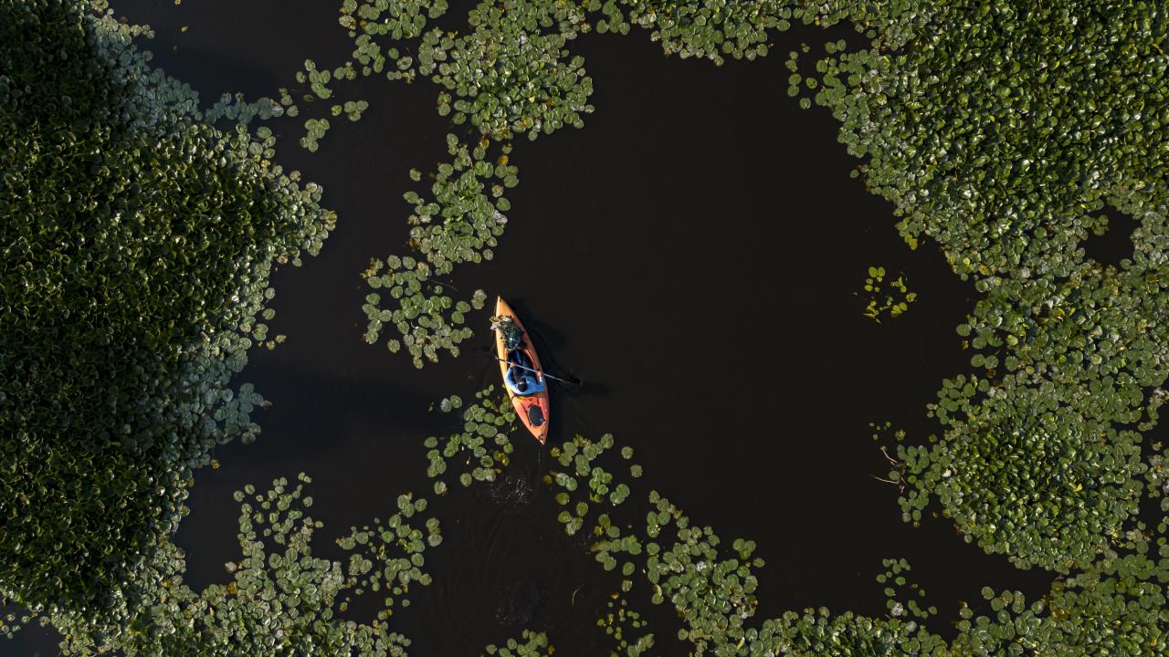 Meksika`da Dünya Çevre Günü