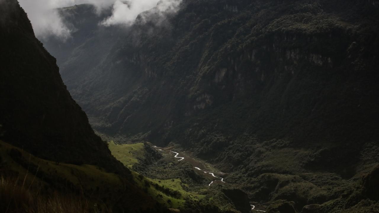 Kolombiya`da Dünya Çevre Günü