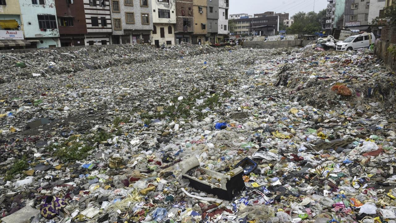 Hindistan`da Dünya Çevre Günü