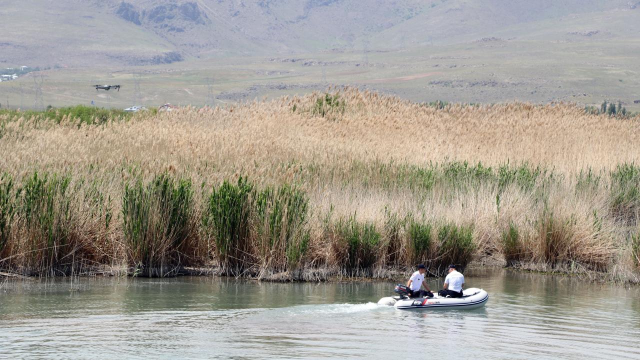 İnci kefalleri havadan ve karadan korunuyor