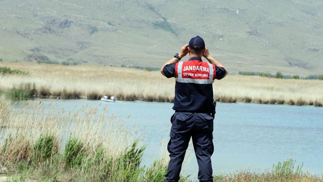 Önlemlerle inci kefali stoku arttı