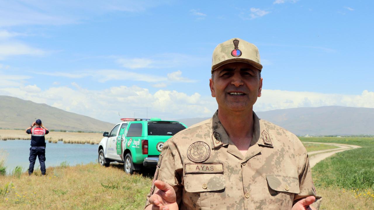 3 ay av yasağı var