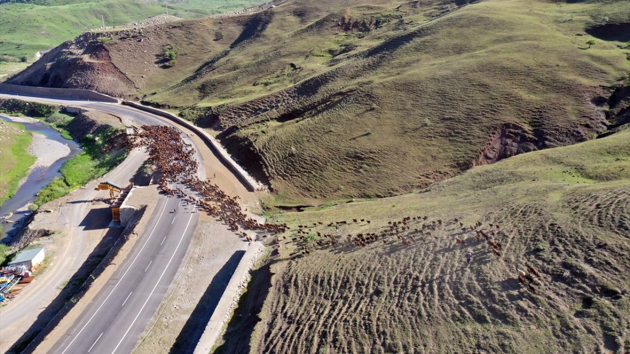 Havalar soğuyuncaya kadar yayladalar