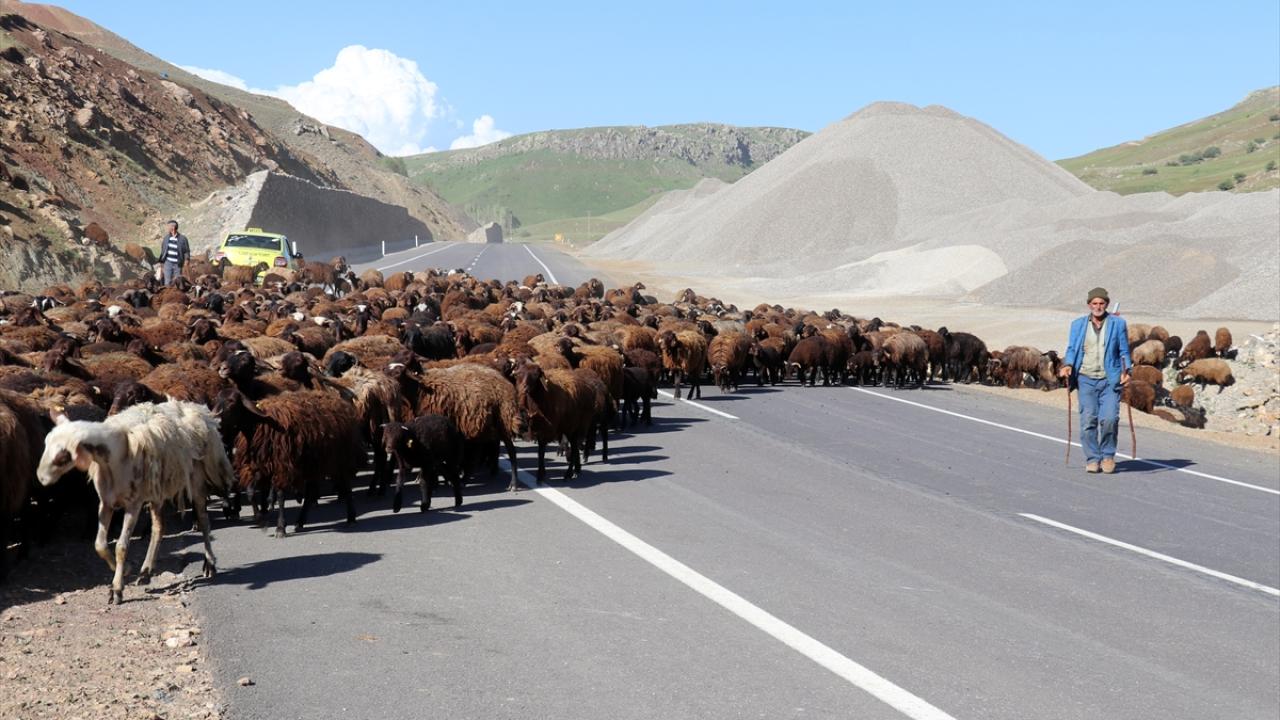 "Baba mesleğidir bırakamıyoruz"