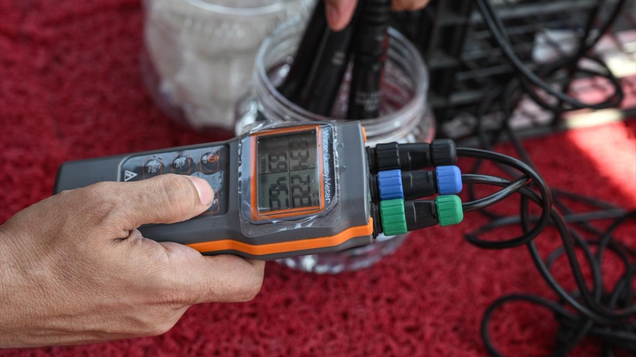 "Evsel ve endüstriyel kirlilik"