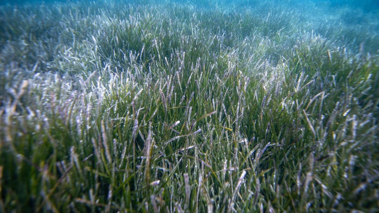 "Referans alanları belirleyeceğiz"