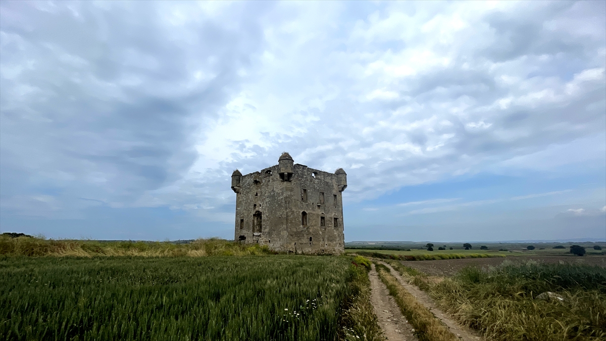 Kazıda aslanıyla ilgili bilgi ve bulgulara da ulaşılması hedefleniyor