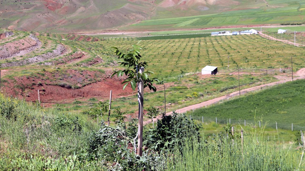 Yaptığı 22 gölet sayesinde su sıkıntısı çekmiyor
