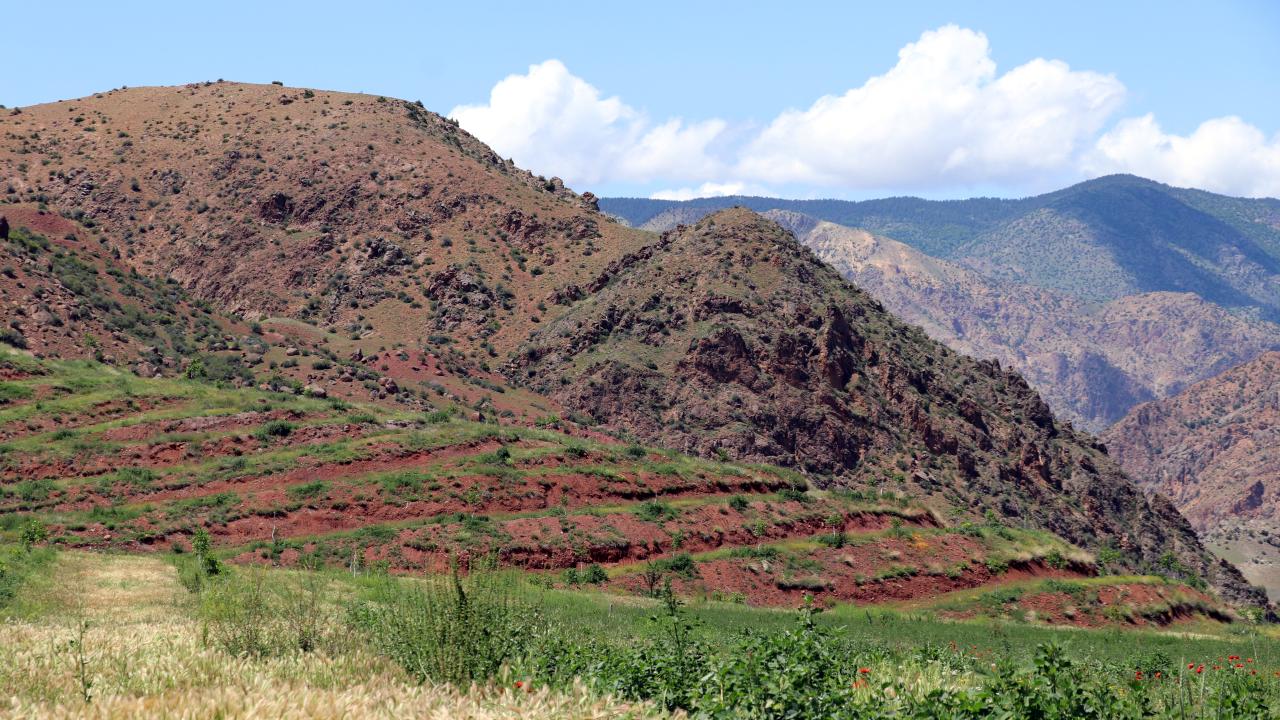 "Merak edip gelenler hayret içinde kalıyor"