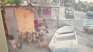 Yoldan çıkan traktör iş yerine girdi, çocuk ve köpeği son anda kurtuldu