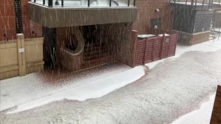 ABD'de sokaklar bembeyaz: Dolu yağışı etkili oldu