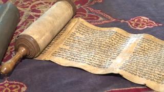 'Ester Rulosu' tekrar Türkiye'de