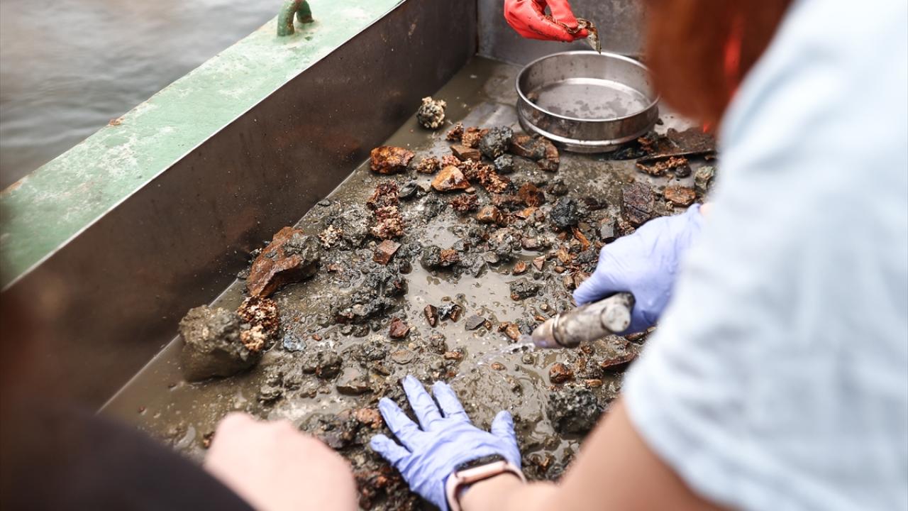 "Çalışmada denizanası gözlemi de yaptık"