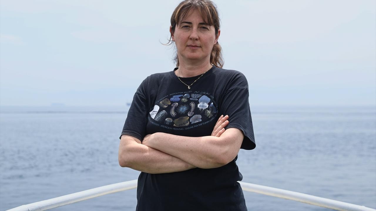 "Amacımız müsilajdan sonra ekosistemdeki değişimi ortaya koymak"