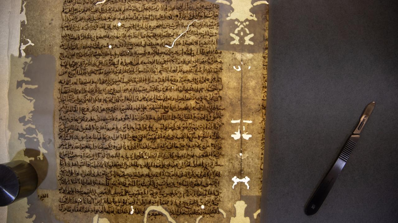 UNESCO ve Ürdün`le işbirliği