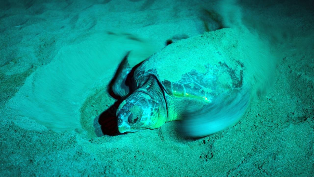 "İnsanlarda oluşan duyarlılık bizi çok mutlu ediyor"