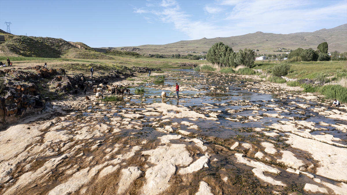 "Yumurtadan çıkan balıklar geri dönemiyor"