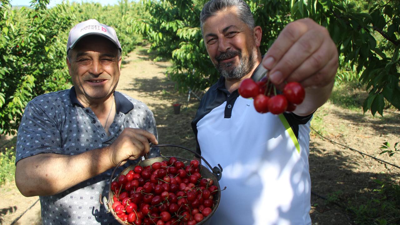 “İşi bilen kaliteli meyve yetiştirip güzel para kazanıyor” 