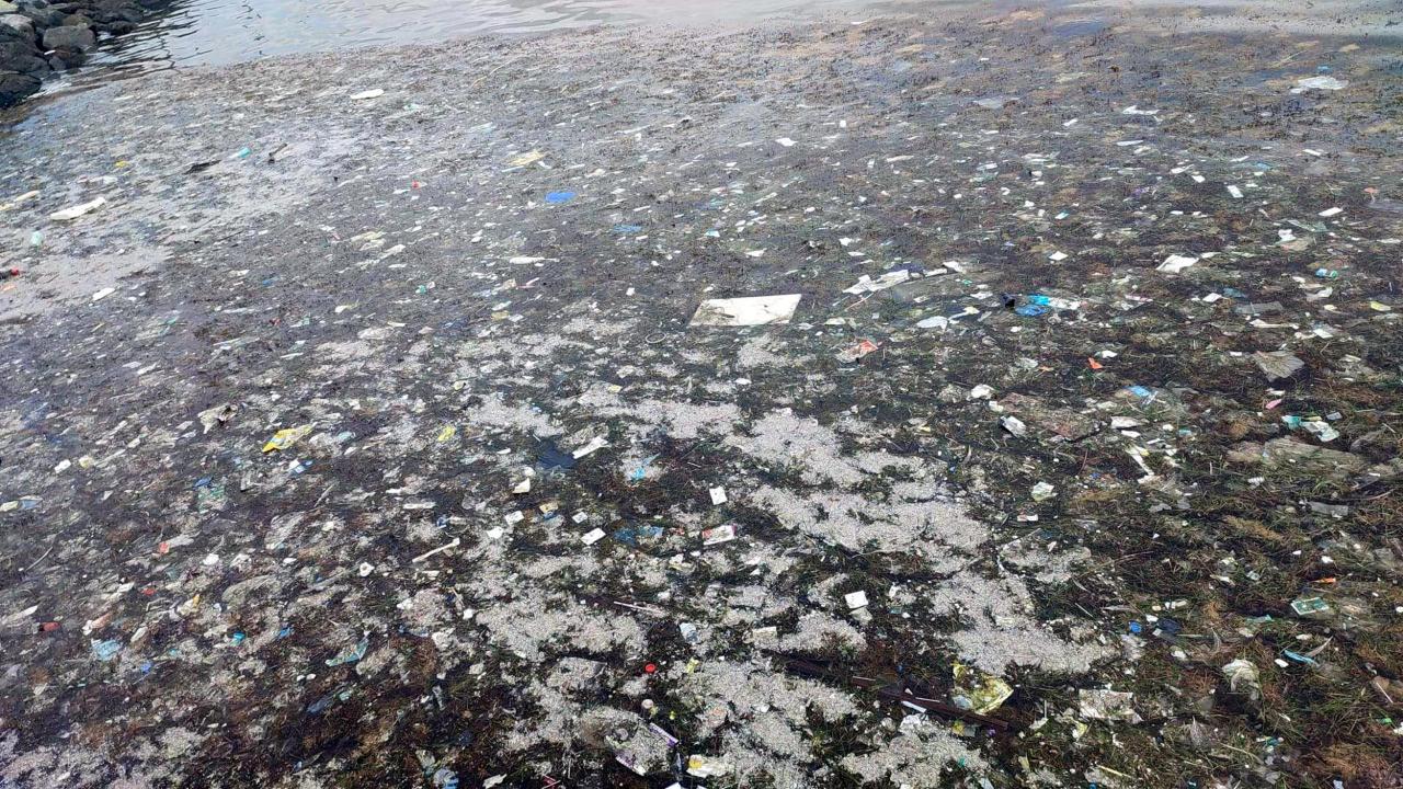 "Deniz suyu sıcaklıklarının artması da bir etken"