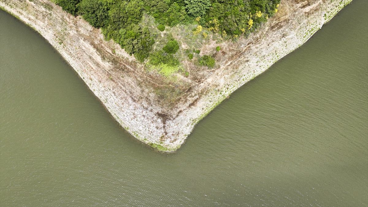 Son 10 yılın doluluk oranları