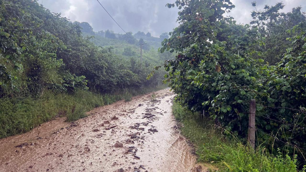 Düzce`de 21 köyde dereler taştı