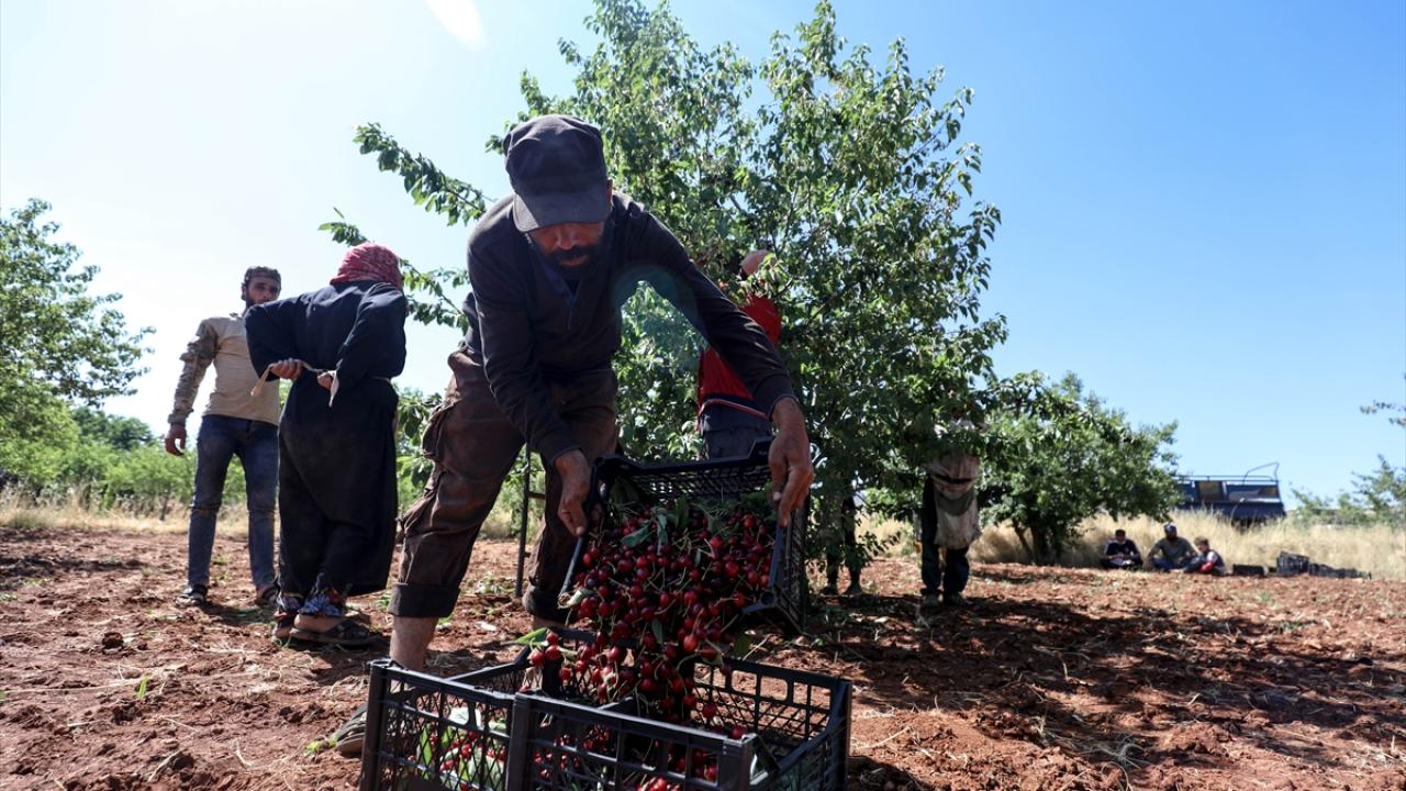 "Rejimin saldırılarına maruz kalabiliyoruz"