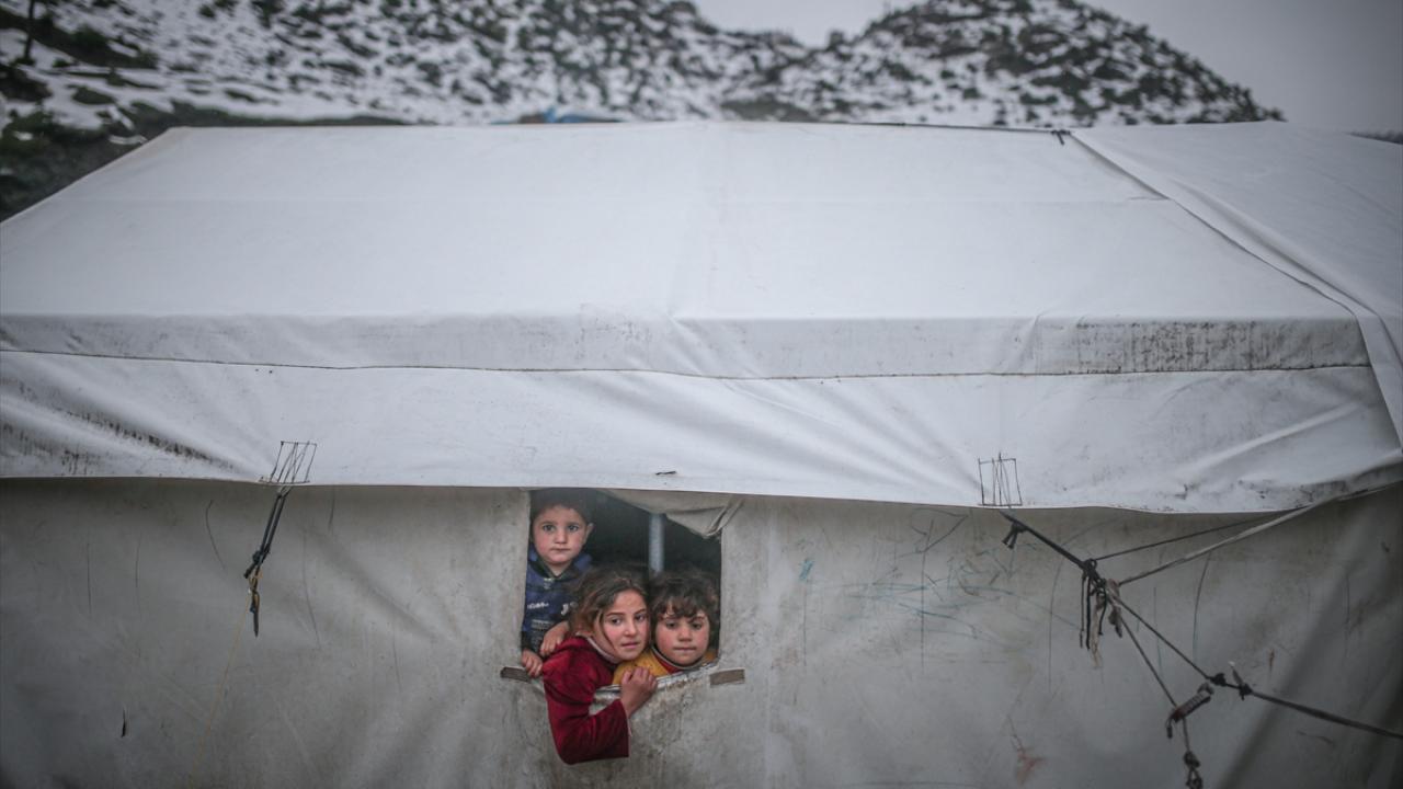 Göçmen, mülteci ve sığınmacı