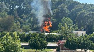 Antalya'da orman yangını