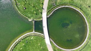 İstanbul millet bahçeleriyle nefes alıyor