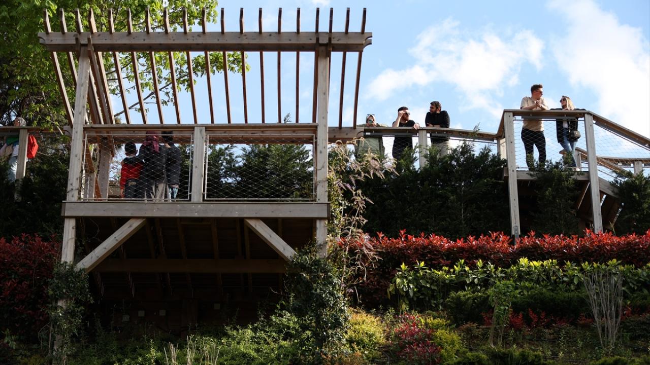 Millet bahçeleri açık havada vakit geçirmek isteyenlerin uğrak noktası