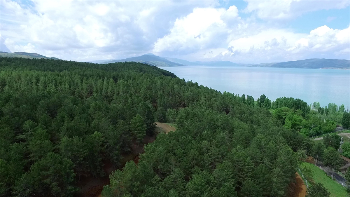  "Ormanlık alanlarımız göz dolduruyor"